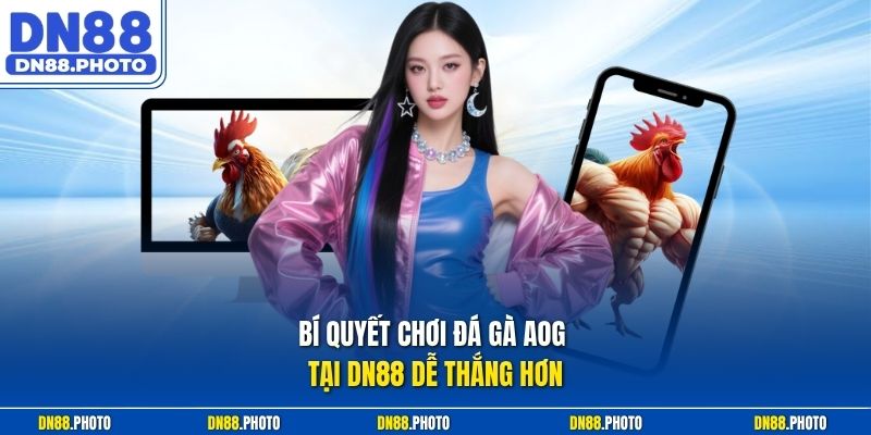 Bí Quyết Chơi Đá Gà AOG Tại DN88 Dễ Thắng Hơn