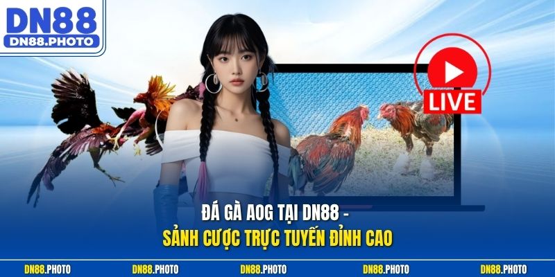 Đá Gà AOG Tại DN88 – Sảnh Cược Trực Tuyến Đỉnh Cao