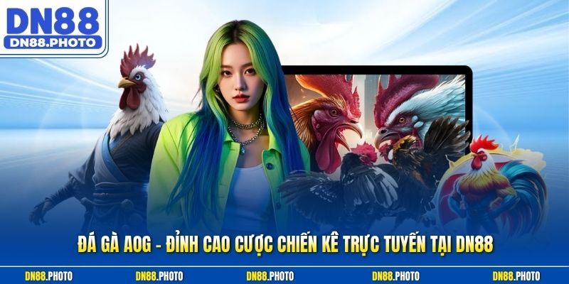 Đá Gà AOG – Đỉnh Cao Cược Chiến Kê Trực Tuyến Tại DN88