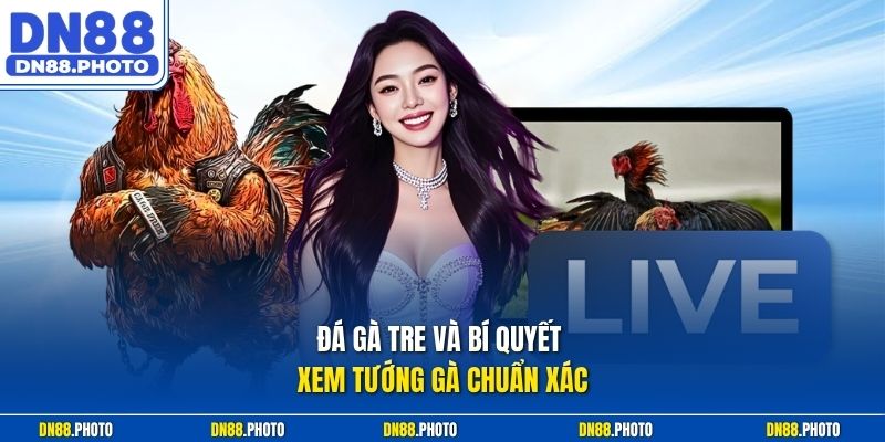 Đá Gà Tre Và Bí Quyết Xem Tướng Gà Chuẩn Xác