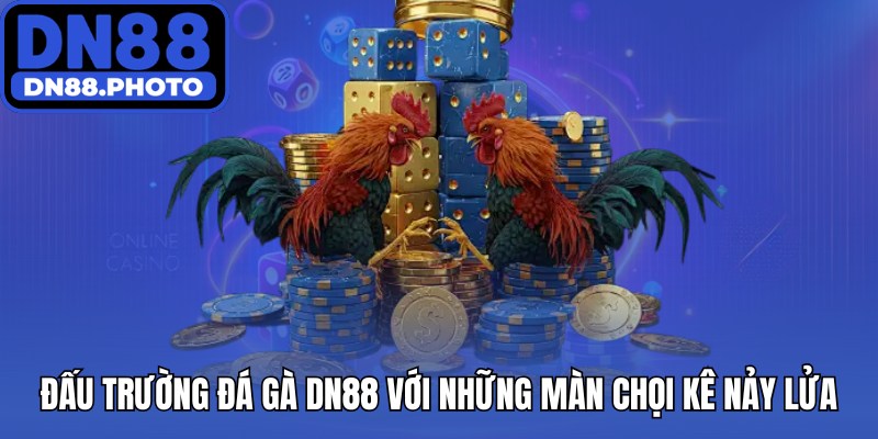Đấu trường đá gà DN88 với những màn chọi kê nảy lửa