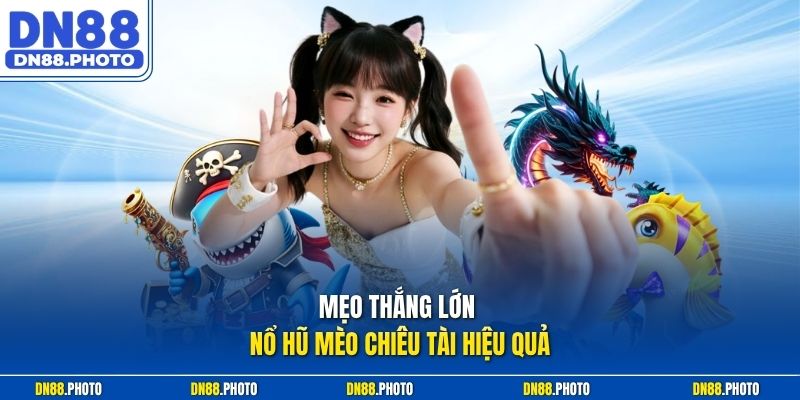 Mẹo thắng lớn nổ hũ Mèo Chiêu Tài hiệu quả