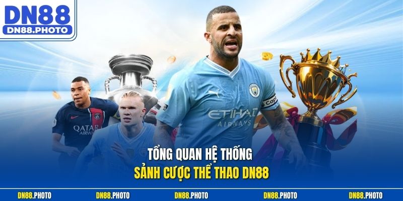 Tổng Quan Hệ Thống Sảnh Cược Thể Thao dn88