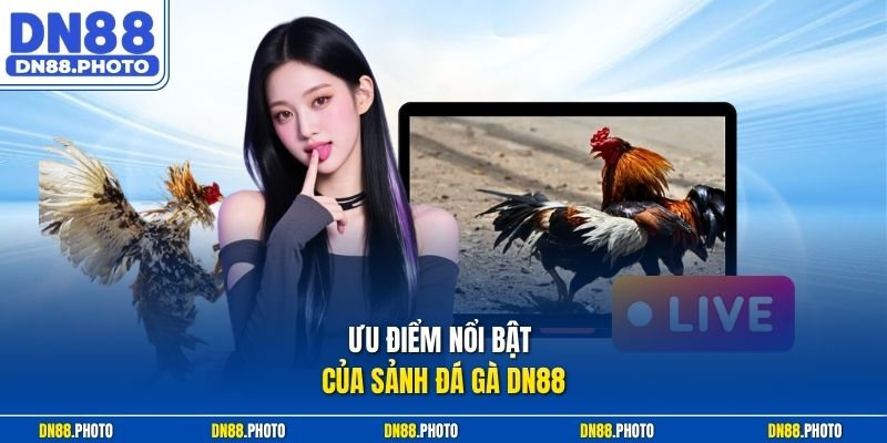 Ưu điểm nổi bật của sảnh đá gà dn88